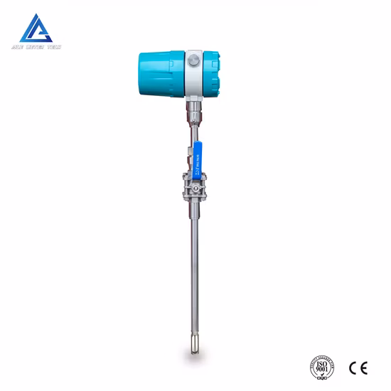 Digital LCD Display Thermal Gas Flowmeter Gas Mass Flow Meter for Nitrogen